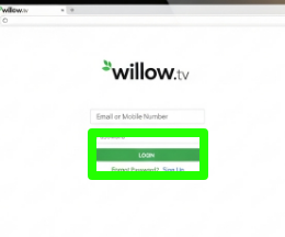 Willow Login