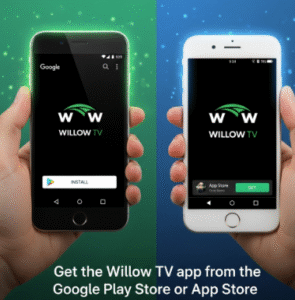 Willow Login