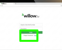 Willow Login