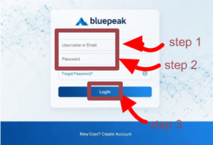 Bluepeak login